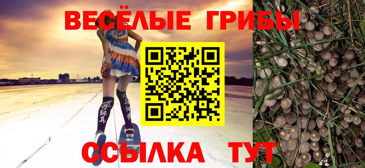 Галлюциногенные грибы Magic Shrooms  Вход с VPN  Галлюциногенные грибы Cubensis  Нарткала 