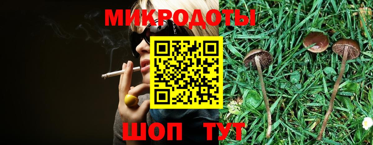 Псилоцибиновые грибы Cubensis Нарткала